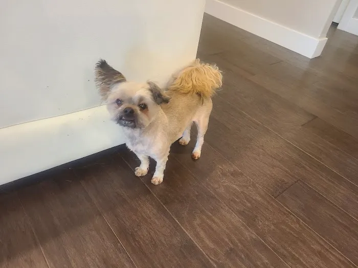 North Side Animal Clinic Picture 8