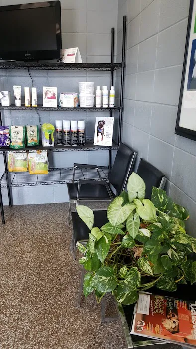 North Side Animal Clinic Picture 9