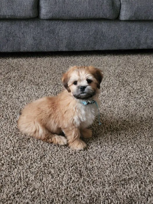 Glenstone Veterinary Clinic Picture 3