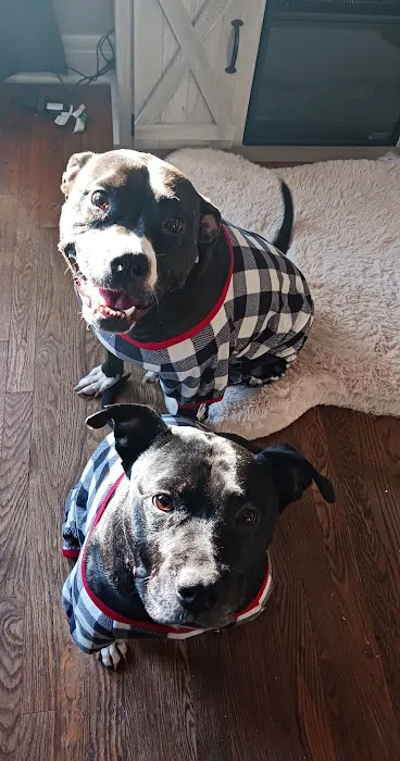 Glenstone Veterinary Clinic Picture 1