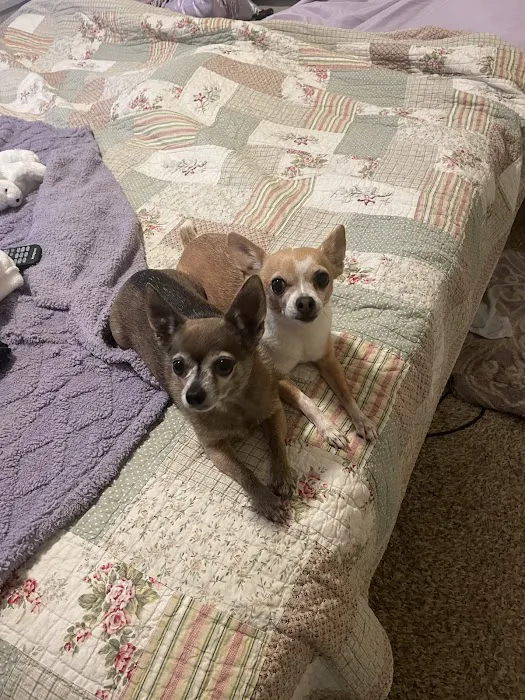 Glenstone Veterinary Clinic Picture 4