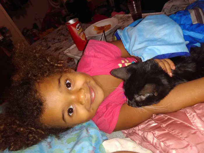 Animal Hospital Picture 2