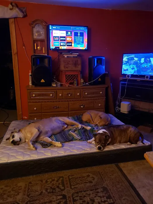 Animal Hospital Picture 4