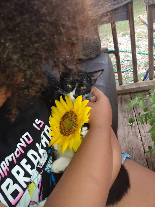 Animal Hospital Picture 3