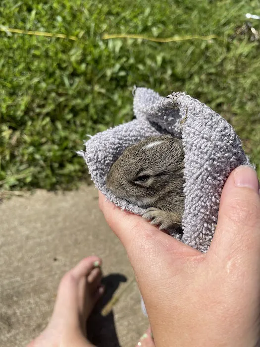 Sunshine Animal Hospital Picture 1