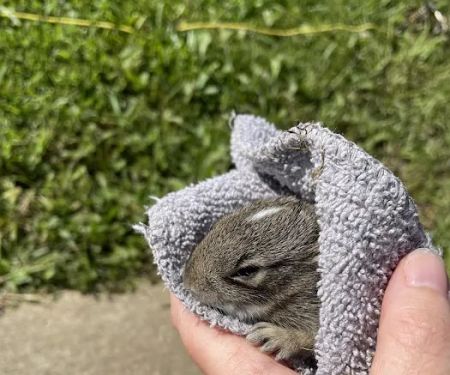 Sunshine Animal Hospital