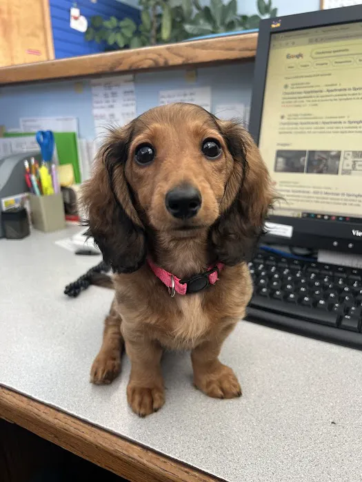 Sunshine Animal Hospital Picture 2