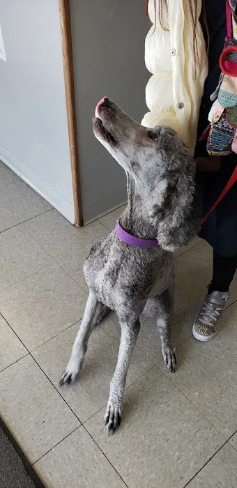 Sunshine Animal Hospital Picture 3