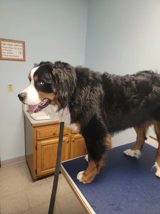 Sunshine Animal Hospital Picture 5