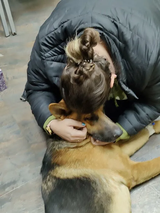 Sunshine Animal Hospital Picture 6