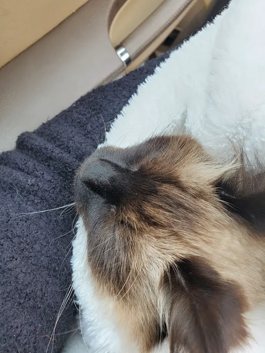 Sunshine Animal Hospital Picture 4