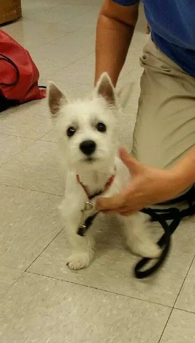 Sunshine Animal Hospital Picture 9