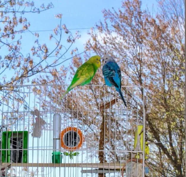 Sunshine Animal Hospital Picture 10