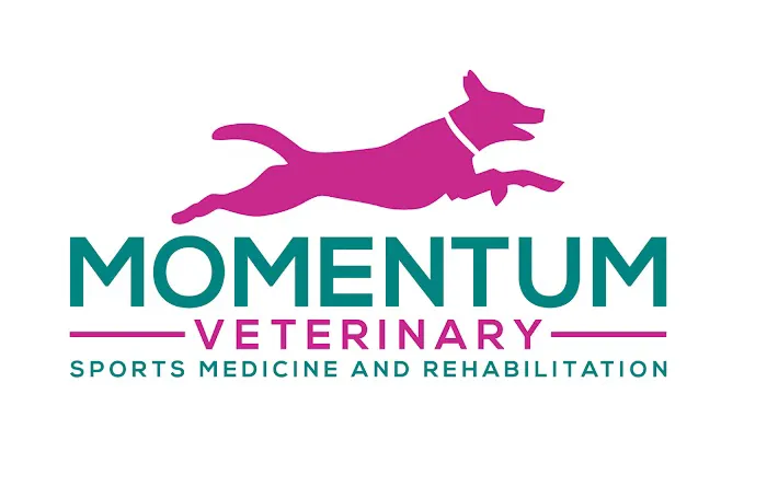 Momentum Veterinary Sports Medicine & Rehabilitation Picture 7