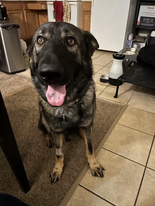 Emergency Veterinary Clinic Picture 3