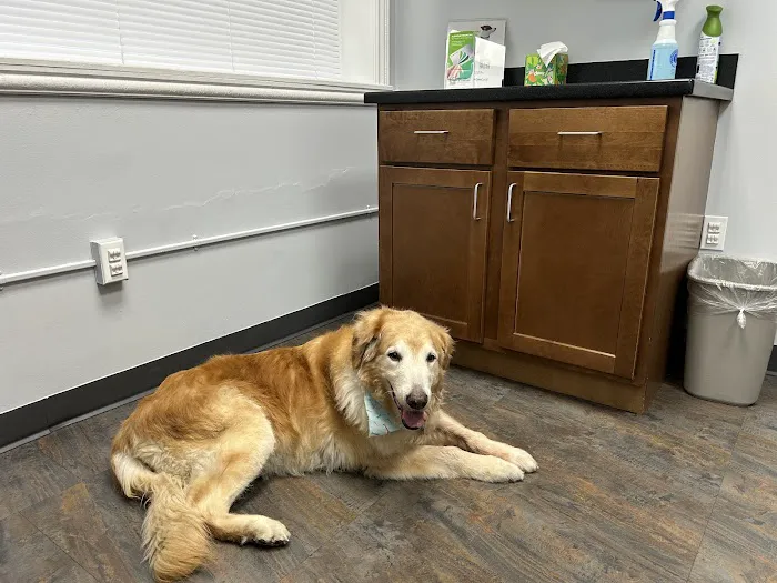 Emergency Veterinary Clinic Picture 7