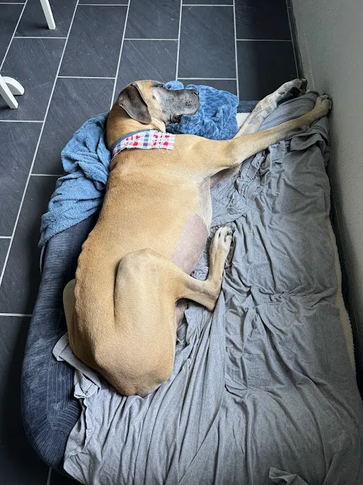 Emergency Veterinary Clinic Picture 4