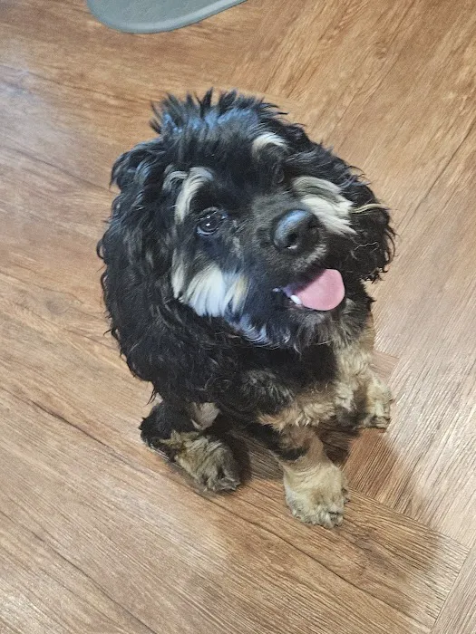 Emergency Veterinary Clinic Picture 9