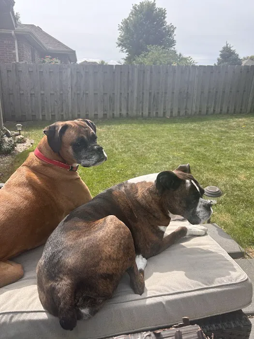 Spring Valley Veterinary Hospital - EAST Picture 2