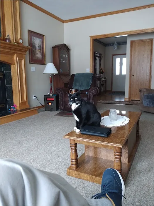 Country Club Veterinary Hospital Picture 3