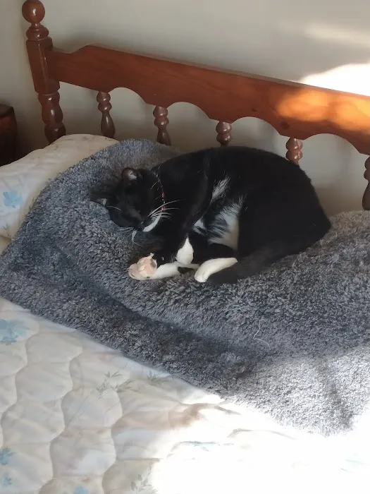 Country Club Veterinary Hospital Picture 2