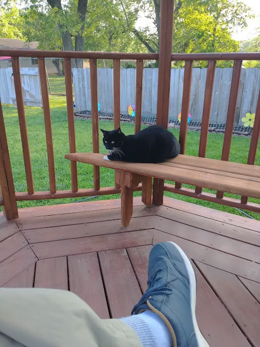 Country Club Veterinary Hospital Picture 5