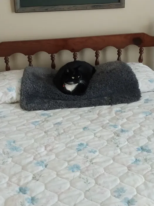 Country Club Veterinary Hospital Picture 4