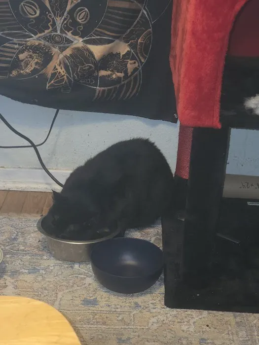 Country Club Veterinary Hospital Picture 1