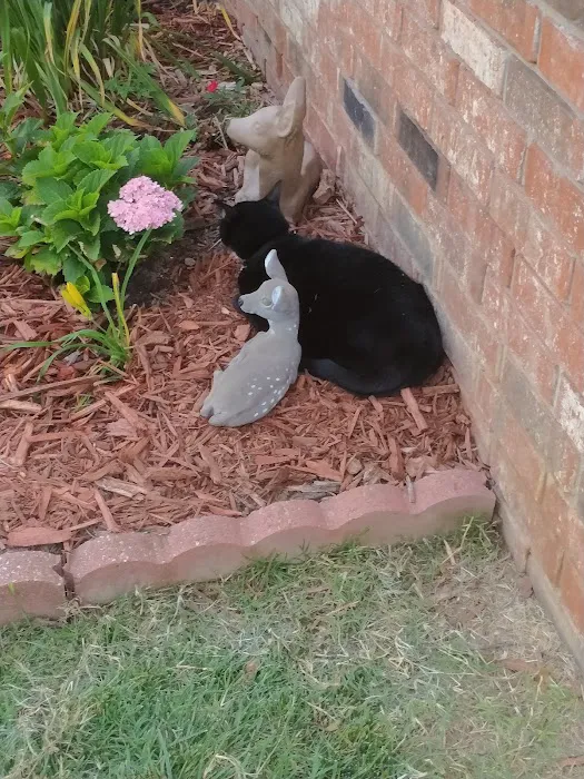 Country Club Veterinary Hospital Picture 8