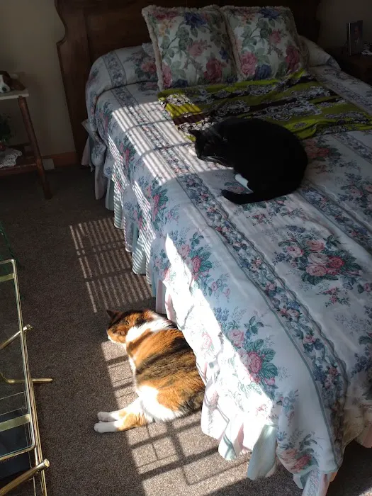 Country Club Veterinary Hospital Picture 6