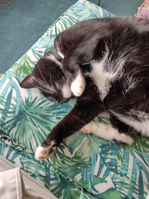 Country Club Veterinary Hospital Picture 7