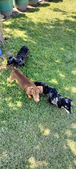 Country Club Veterinary Hospital Picture 10