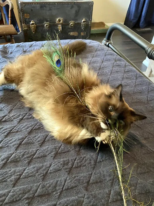 Deerfield Veterinary Hospital Picture 3