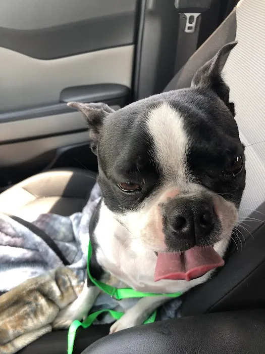 Deerfield Veterinary Hospital Picture 4