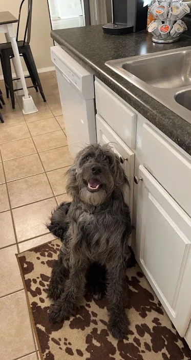 Deerfield Veterinary Hospital Picture 6