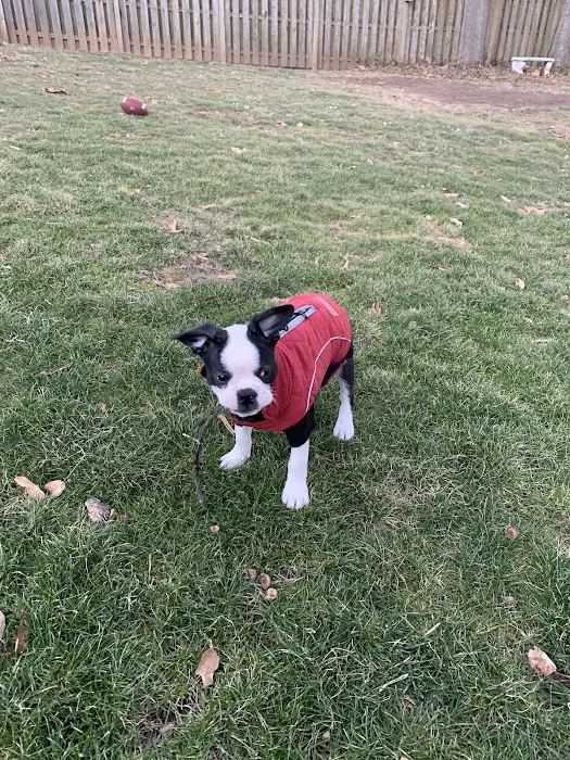 Deerfield Veterinary Hospital Picture 8