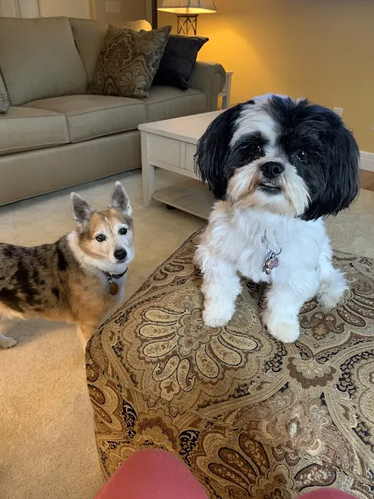 Deerfield Veterinary Hospital Picture 9