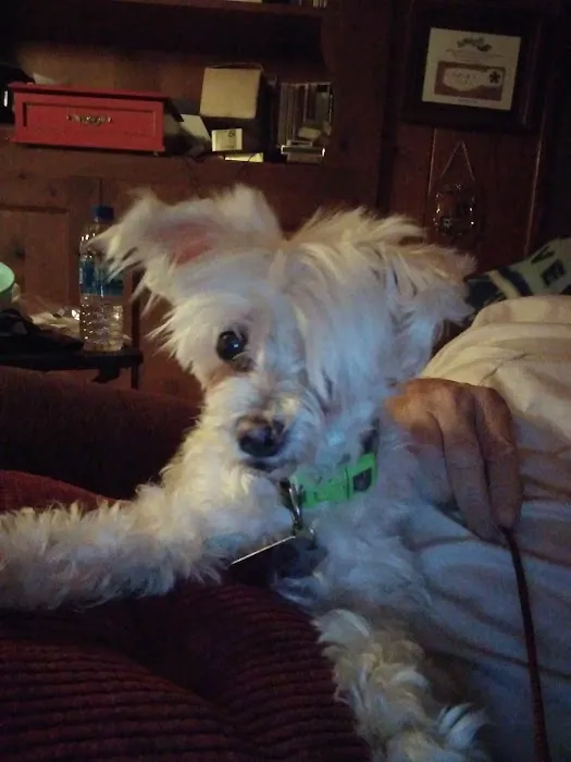 Wright Veterinarian Service Picture 1