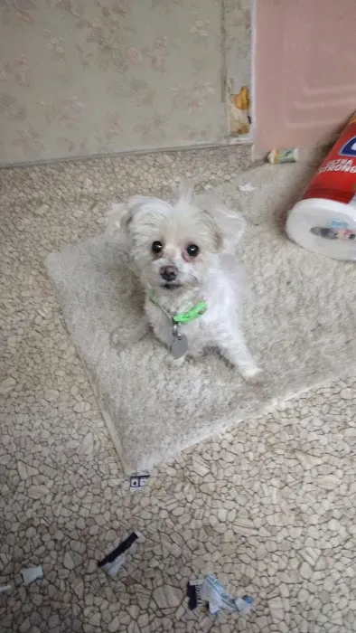 Wright Veterinarian Service Picture 2