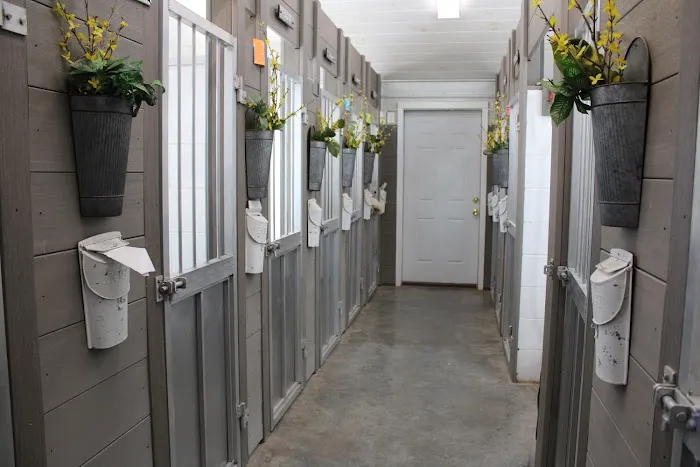 Animal Clinic of Ava Picture 3