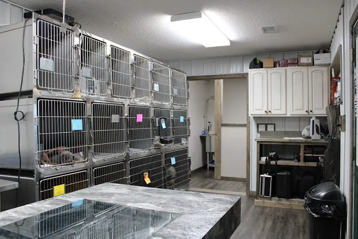 Animal Clinic of Ava Picture 7