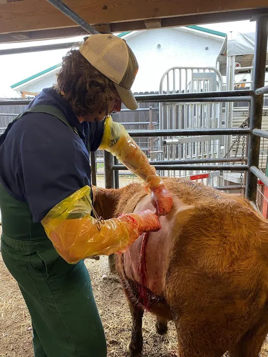 Animal Clinic of Ava Picture 5