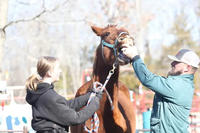 Animal Clinic of Ava Picture 9