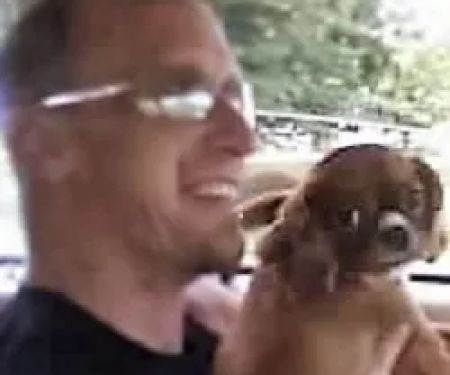 Certified Paws Mobile Canine Massage Therapy