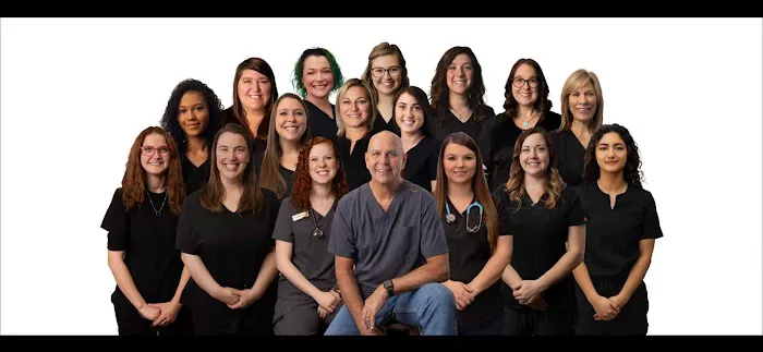 Divine Veterinary Clinic Picture 1