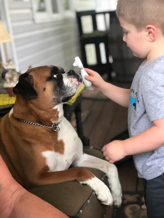 Divine Veterinary Clinic Picture 3