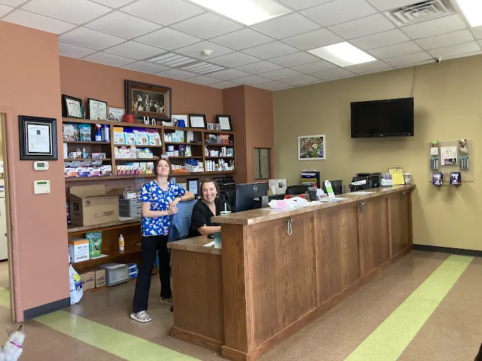 Divine Veterinary Clinic Picture 4