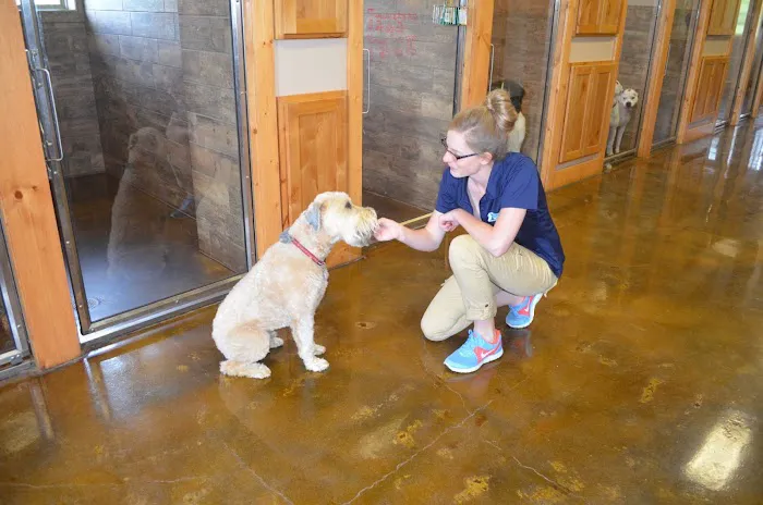 Millwood Animal Hospital Picture 1