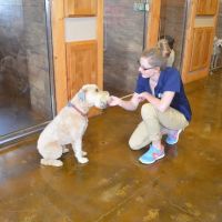 Millwood Animal Hospital ico