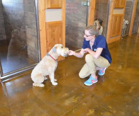 Millwood Animal Hospital